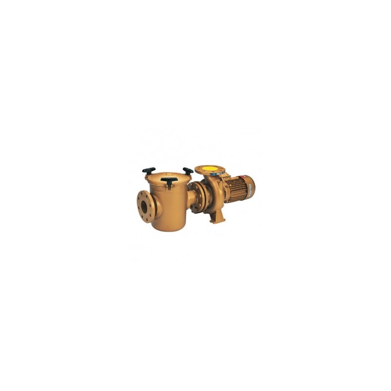 Bomba Baikal C-3000 (bronce)