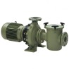 Bomba Aral C-1500 (hierro fundido)